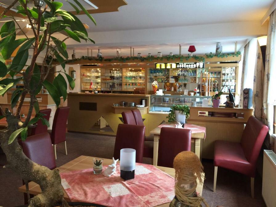 Pension Bergterrasse Sitzendorf Экстерьер фото